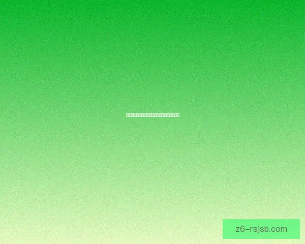 永恒岛神秘箱子揭秘探索隐藏的宝藏与未知秘密